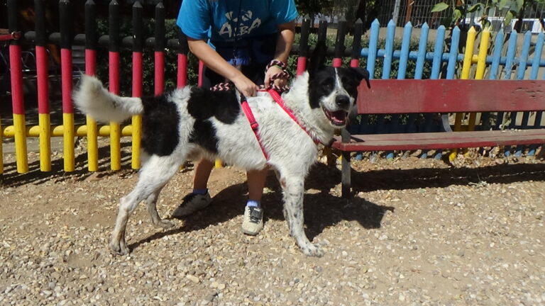 multimedia-foto39379-496-3