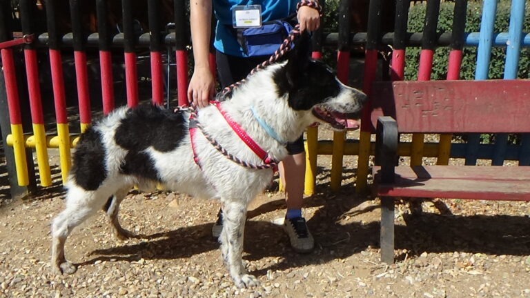 multimedia-foto39381-932-3