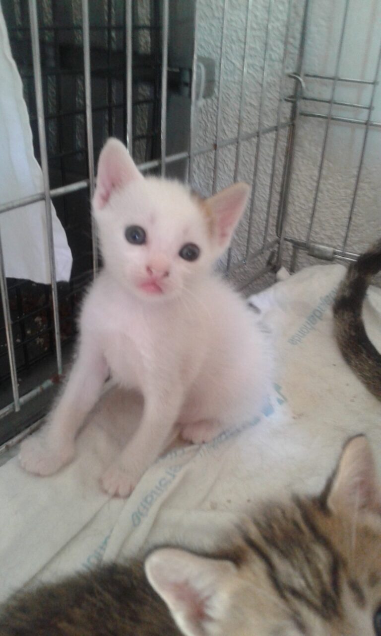 multimedia-foto39395-322-3