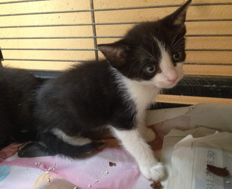 multimedia-foto39451-987-3