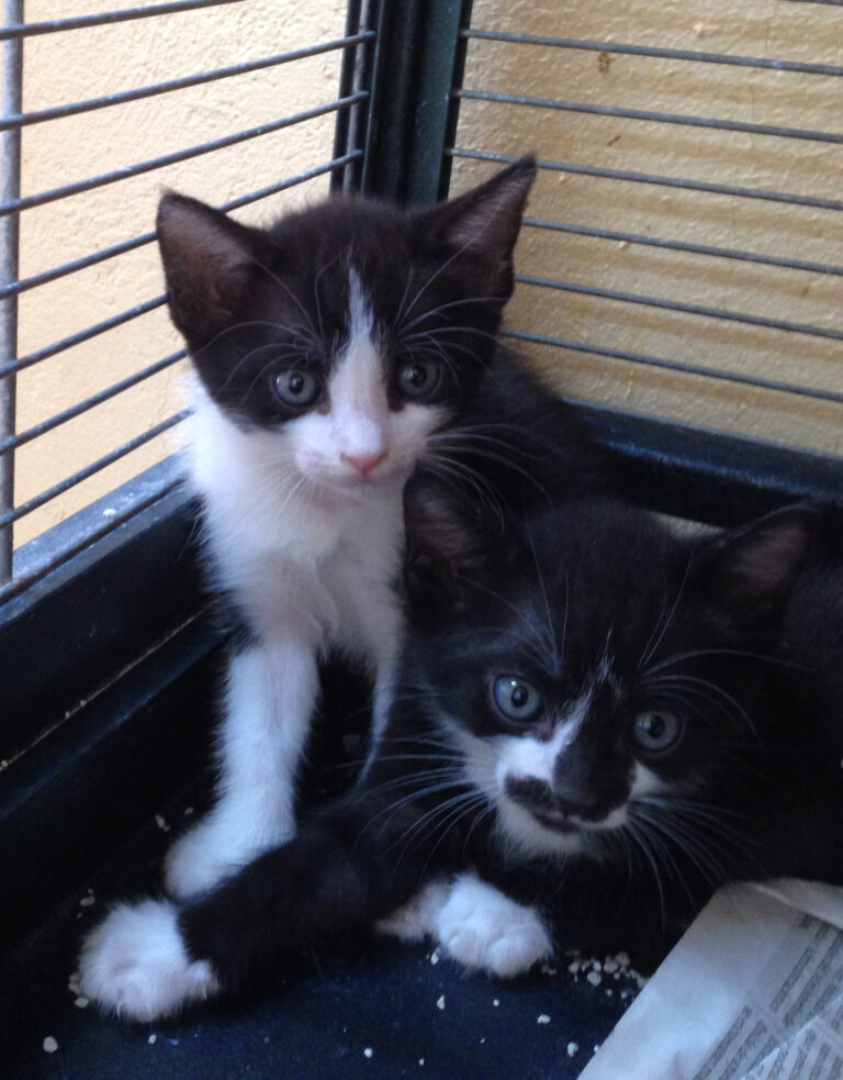 multimedia-foto39452-186-3