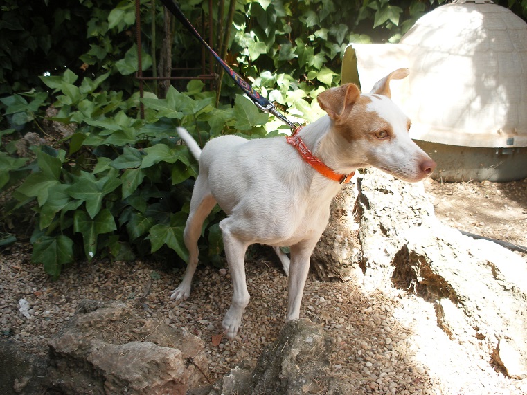 multimedia-foto39493-376-3