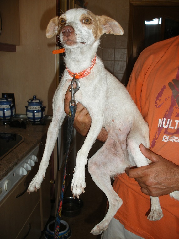 multimedia-foto39497-220-3