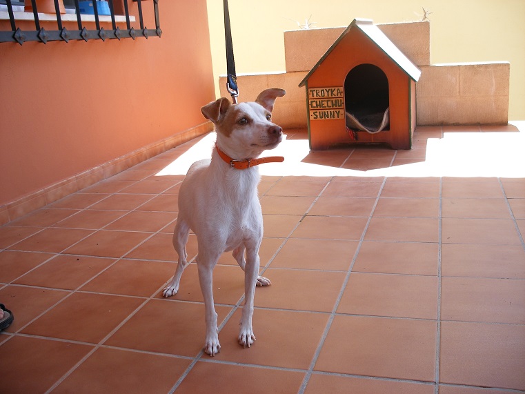 multimedia-foto39498-396-3