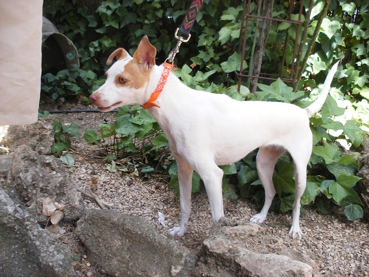 multimedia-foto39499-553-3