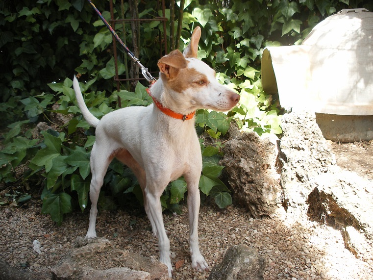 multimedia-foto39500-687-3