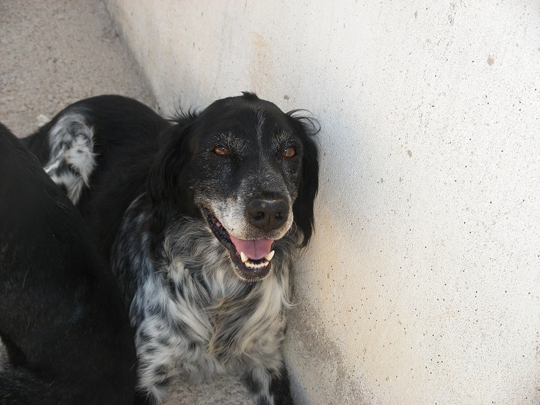 multimedia-foto39540-418-3