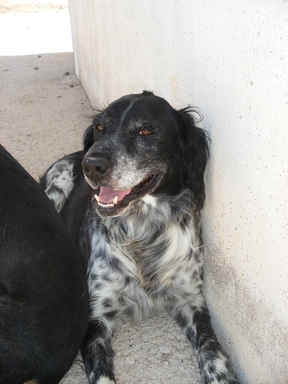 multimedia-foto39541-642-3