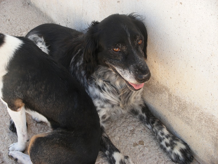 multimedia-foto39542-857-3