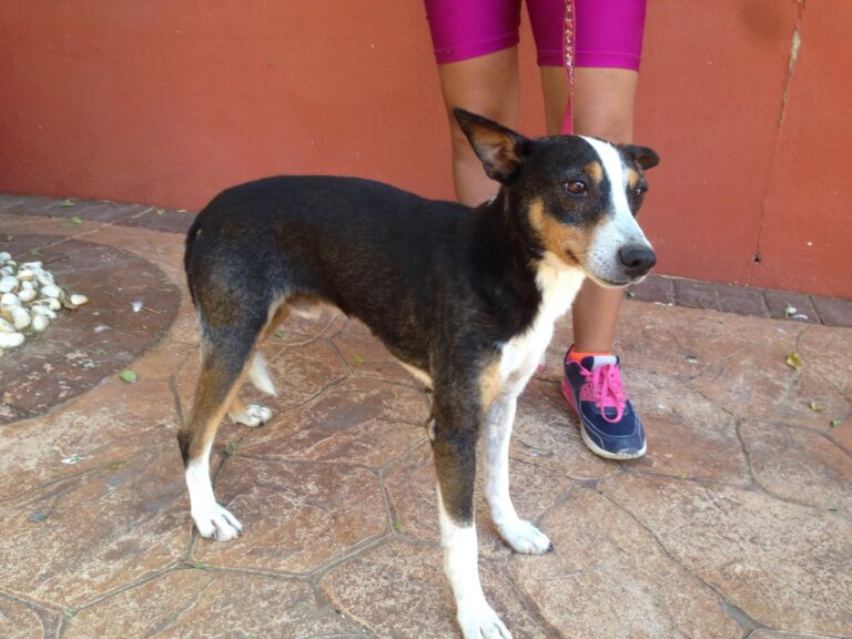 multimedia-foto39543-420-3