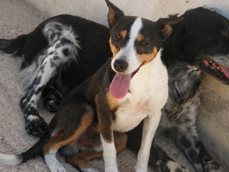 multimedia-foto39544-644-3