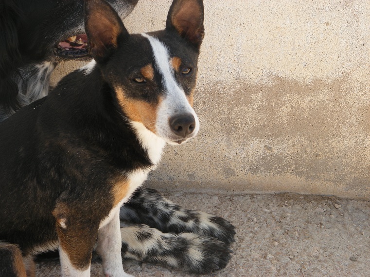 multimedia-foto39545-858-3