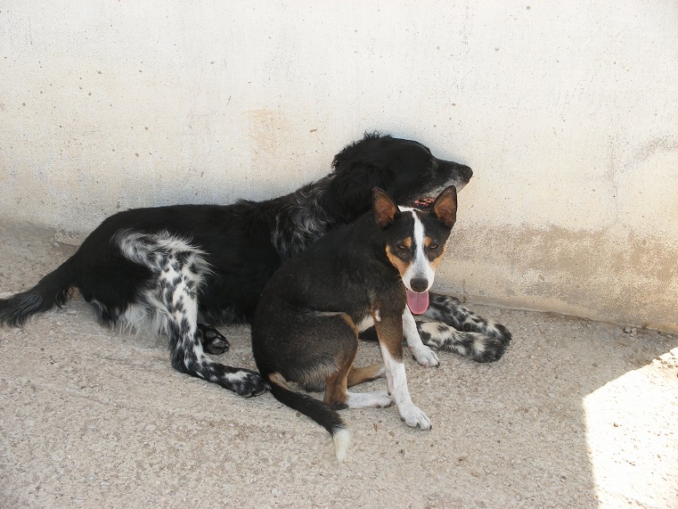 multimedia-foto39546-60-3