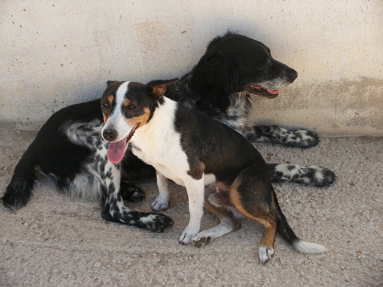 multimedia-foto39547-255-3