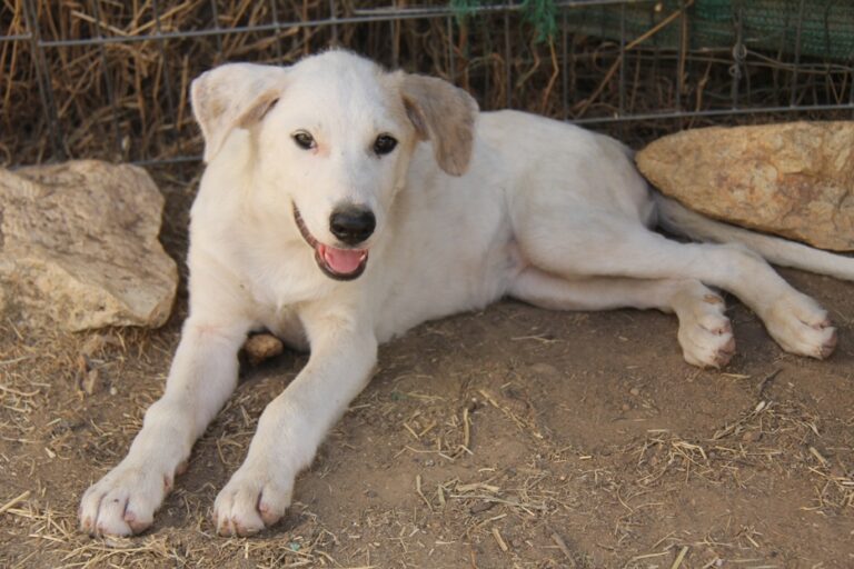 multimedia-foto39557-430-3