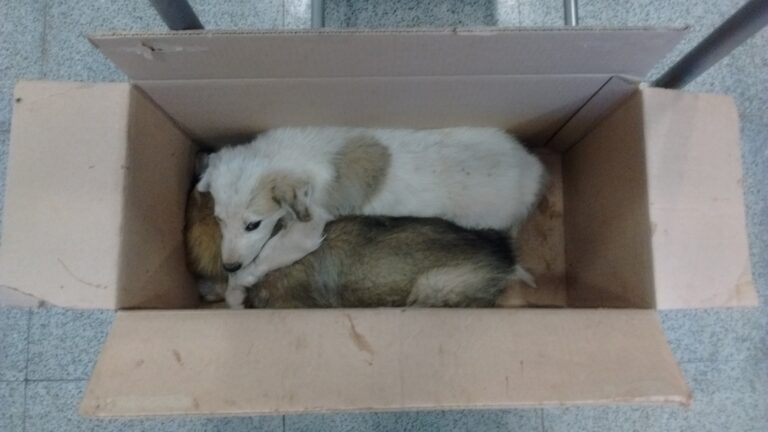 multimedia-foto39559-868-3