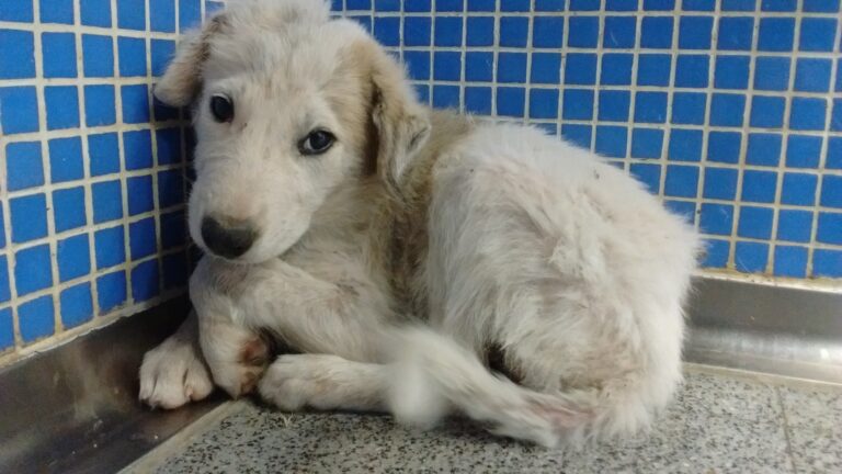 multimedia-foto39560-70-3