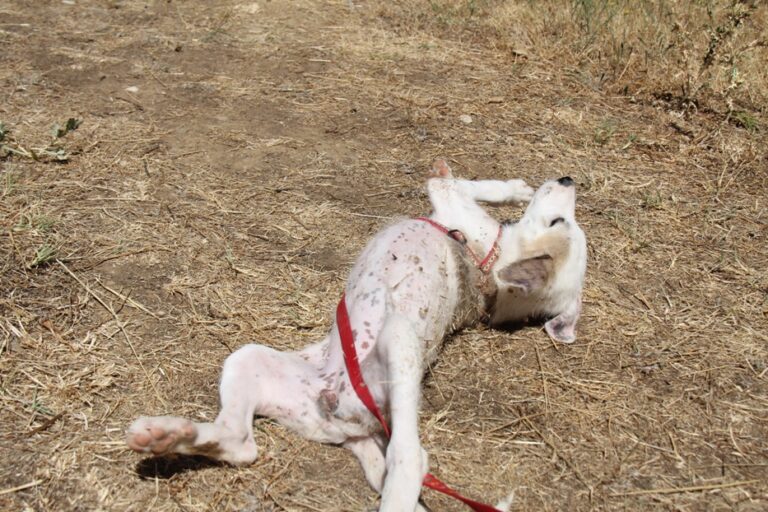 multimedia-foto39562-434-3