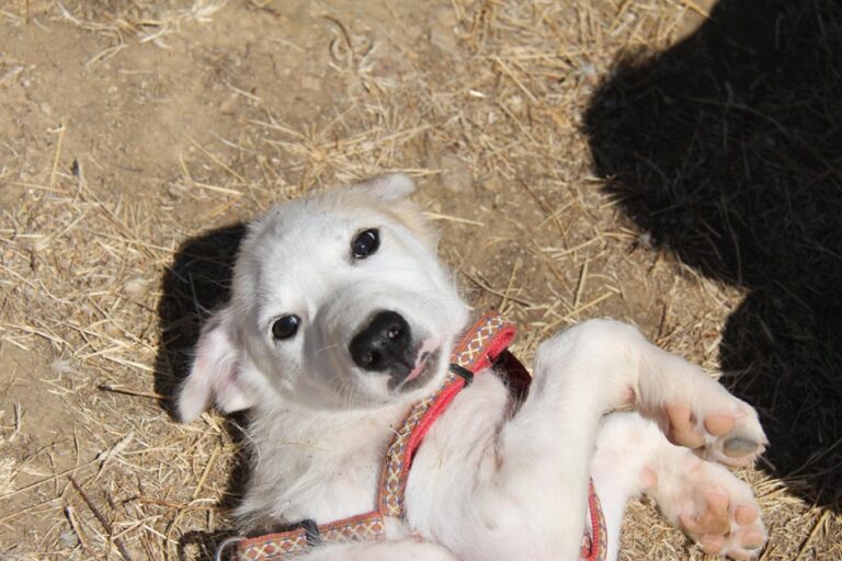 multimedia-foto39563-587-3