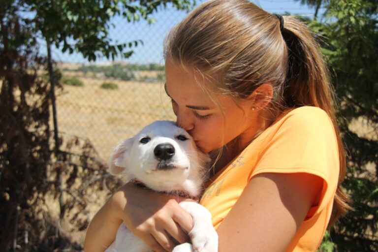 multimedia-foto39564-717-3