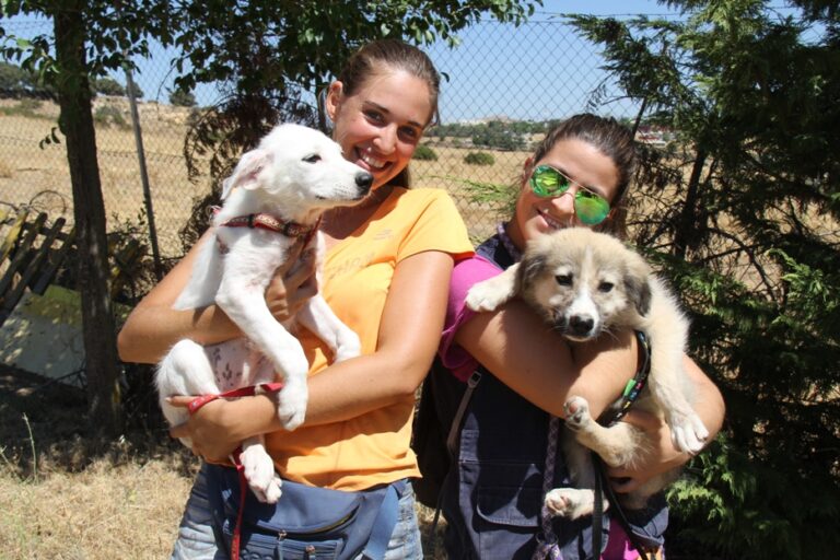 multimedia-foto39565-827-3