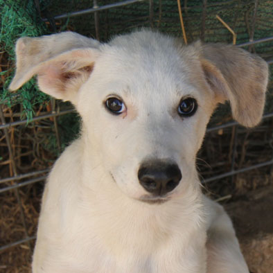 multimedia-foto39566-898-3