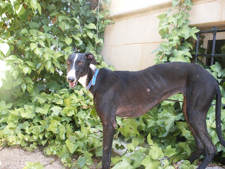 multimedia-foto39569-438-3