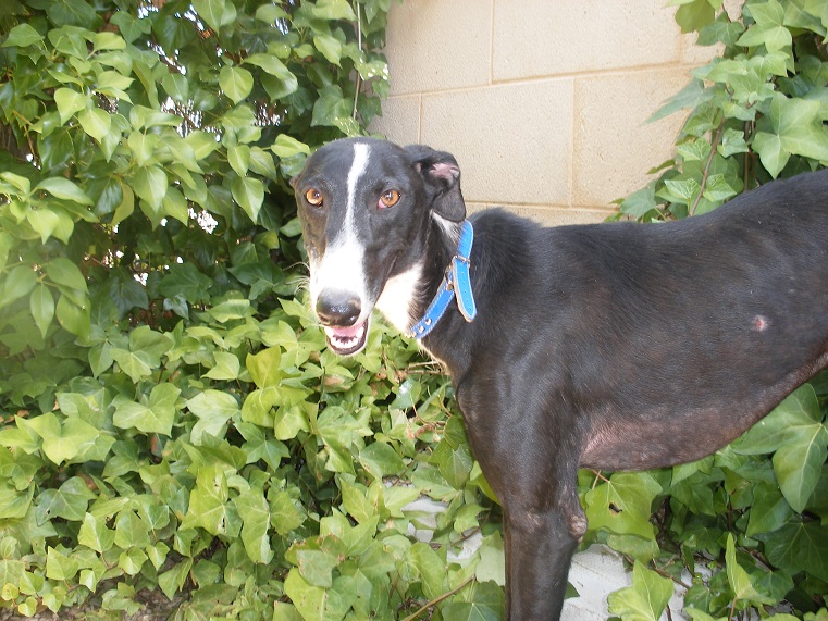 multimedia-foto39572-78-3