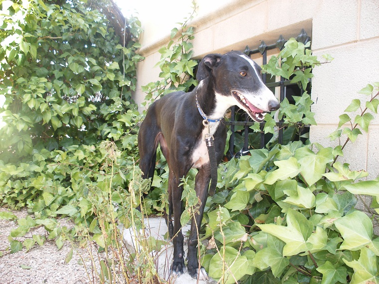 multimedia-foto39573-272-3