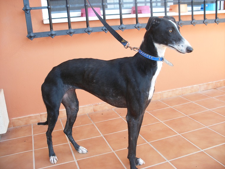 multimedia-foto39574-441-3