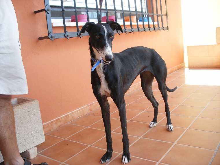 multimedia-foto39575-593-3