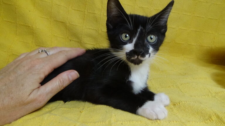 multimedia-foto39644-504-3