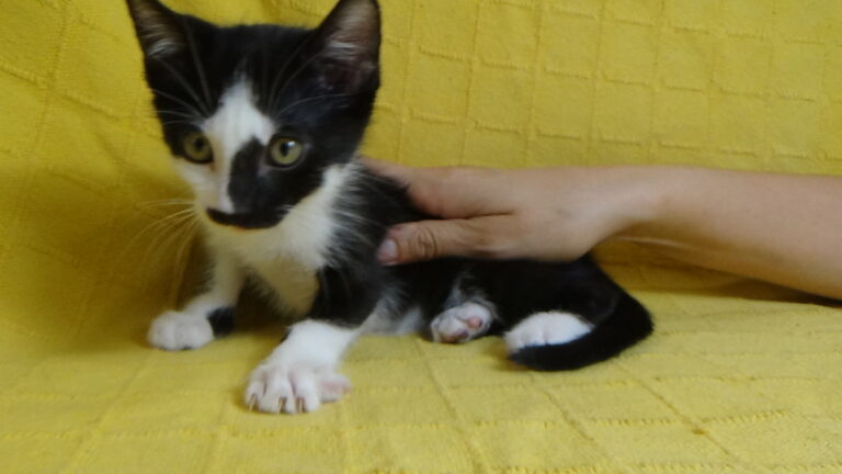 multimedia-foto39645-507-3