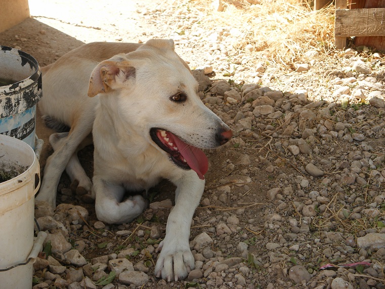 multimedia-foto39675-532-3