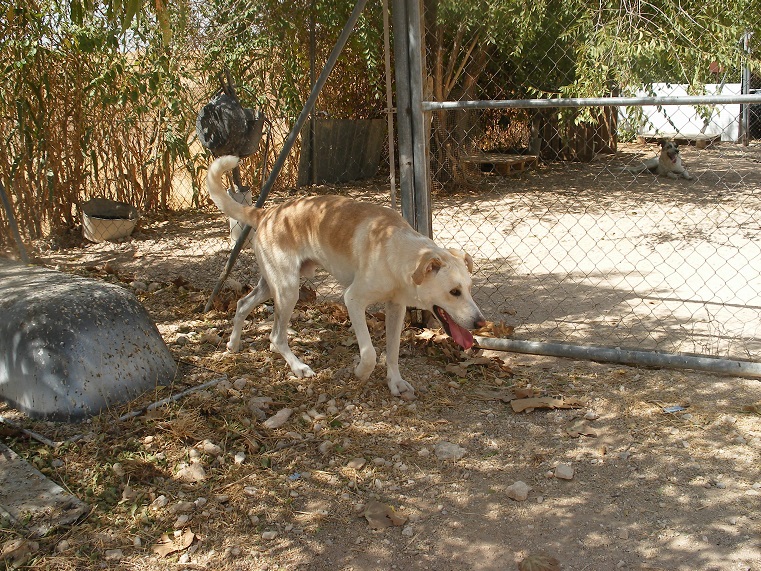 multimedia-foto39676-752-3