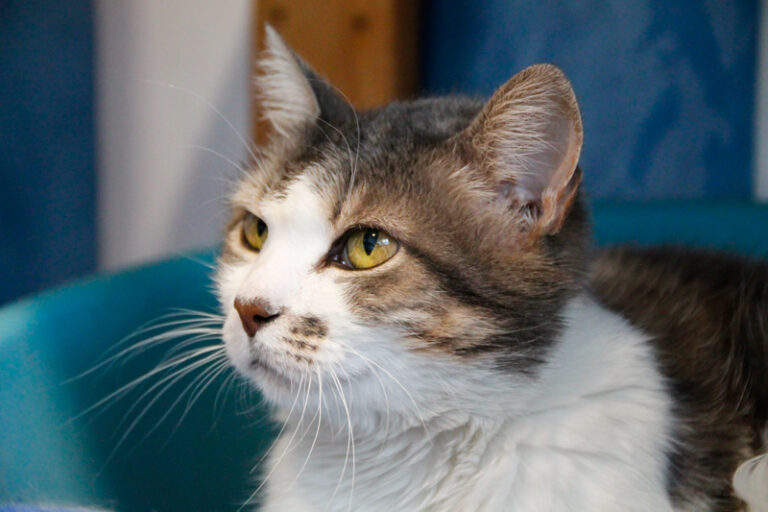 multimedia-foto39691-544-3