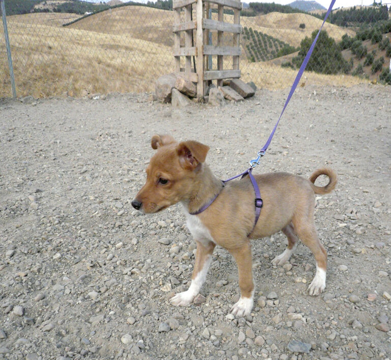 multimedia-foto39699-327-3