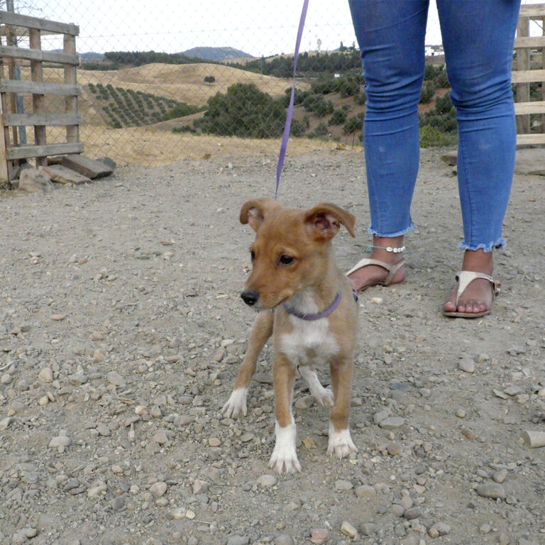 multimedia-foto39700-553-3