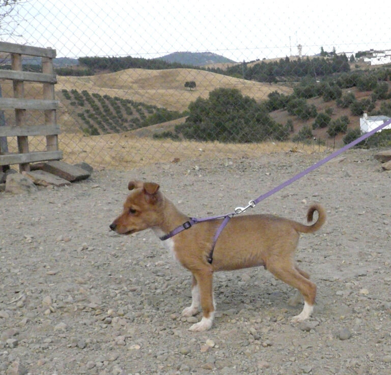 multimedia-foto39701-774-3