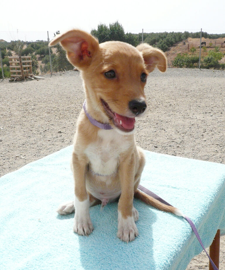 multimedia-foto39702-984-3