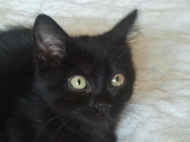 multimedia-foto39707-561-3