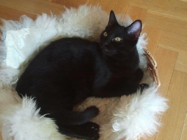 multimedia-foto39710-189-3