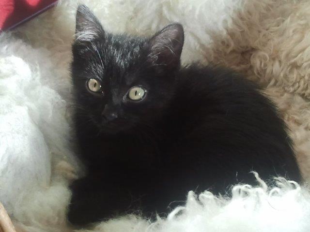 multimedia-foto39713-667-3