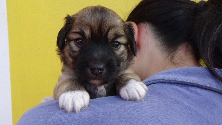 multimedia-foto39744-371-3