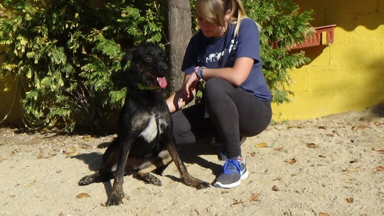 multimedia-foto39761-386-3