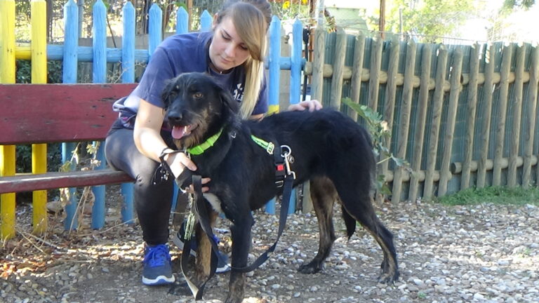 multimedia-foto39762-611-3