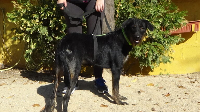 multimedia-foto39763-829-3