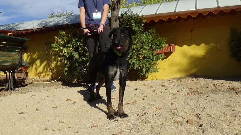 multimedia-foto39764-34-3