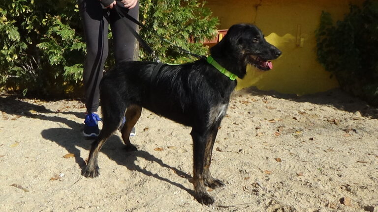 multimedia-foto39765-230-3