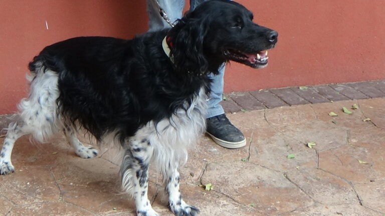 multimedia-foto39778-401-3